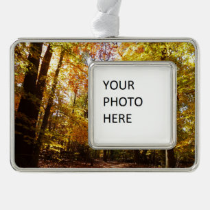 Greenbelt Park in Fall II Maryland Nature Scene Silver Plated Framed Ornament