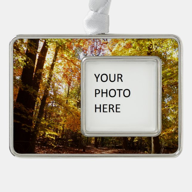Greenbelt Park in Fall II Maryland Nature Scene Silver Plated Framed Ornament (Front)