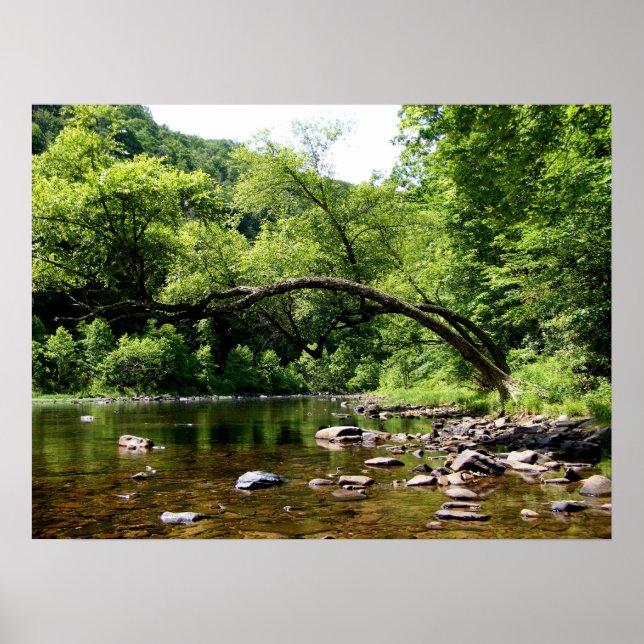 Greenbrier River Poster (Front)