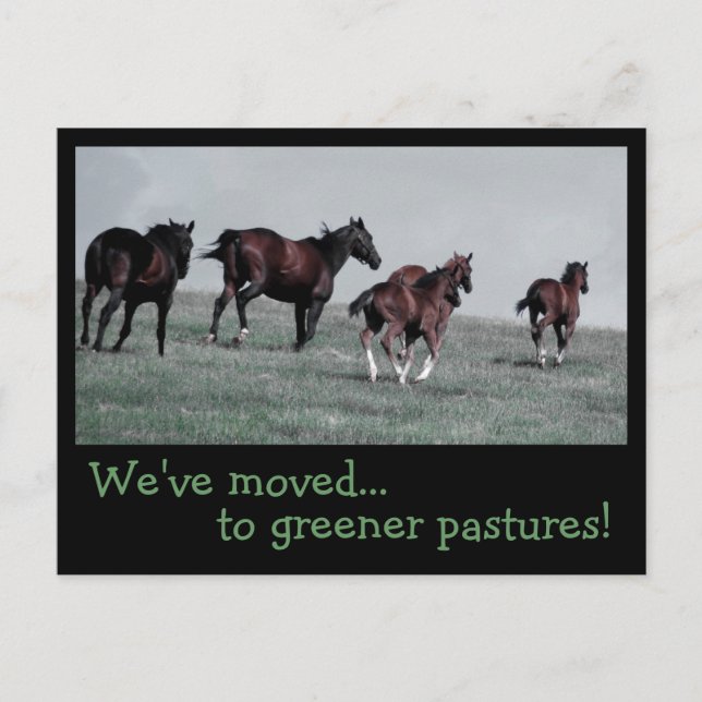 Greener Pastures... Announcement Postcard (Front)