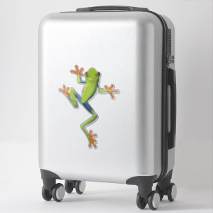 Greenery Amphibian Tree-Frog