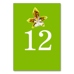 Greenery orchid art wedding flower table numbers