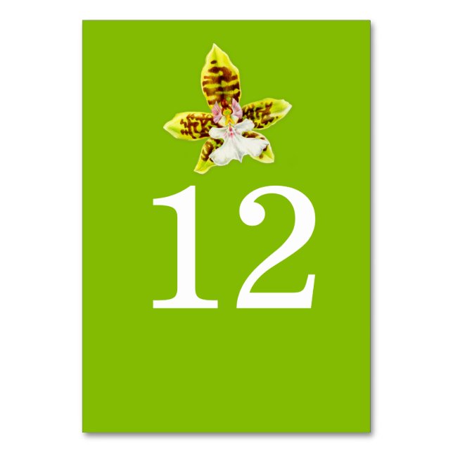 Greenery orchid art wedding flower table numbers (Back)