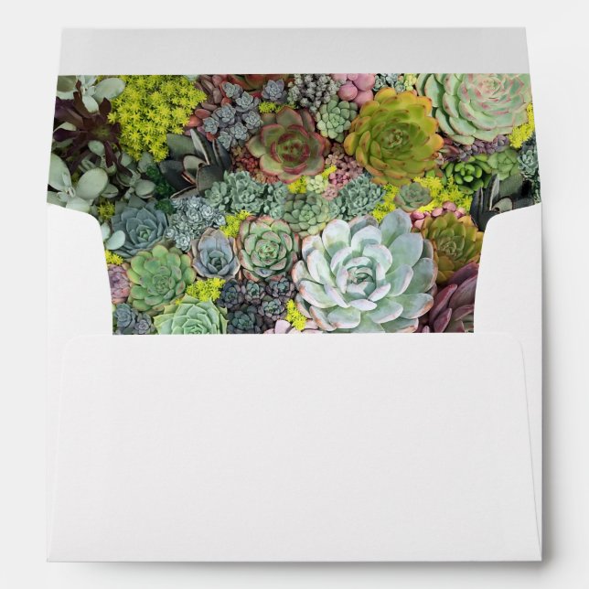Greenery Succulents Envelope (Back (Bottom))