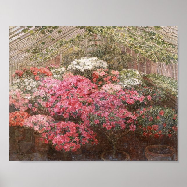 Greenhouse Azaleas | Marie Antoinette Marcotte Poster (Front)