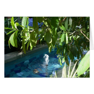 Greenhouse Flowers Five