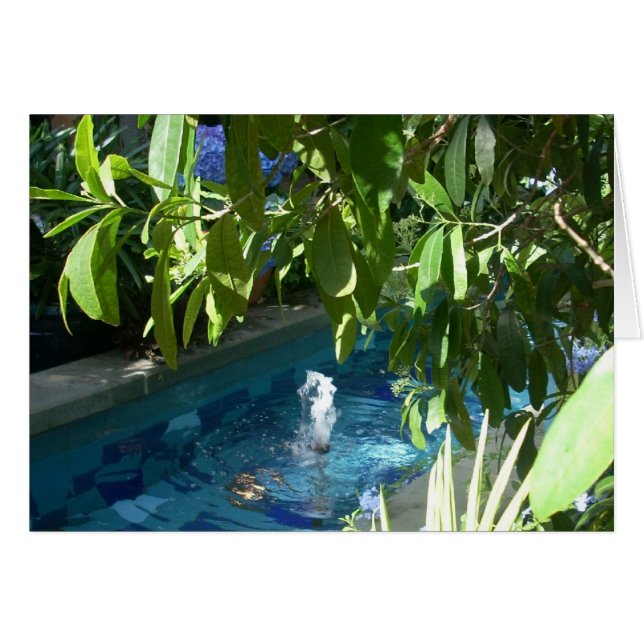 Greenhouse Flowers Five (Front Horizontal)