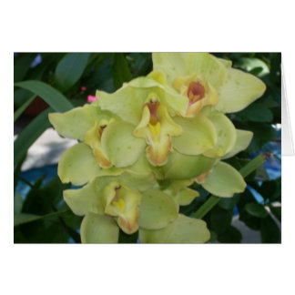 Greenhouse Flowers Four