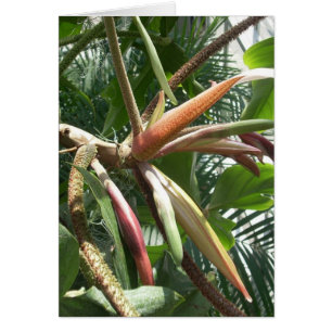 Greenhouse Flowers Nine