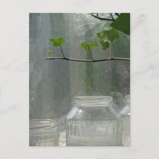 Greenhouse Postcard