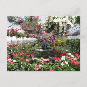 Greenhouse Postcard