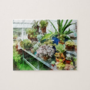 Greenhouse With Cactus Jigsaw Puzzle