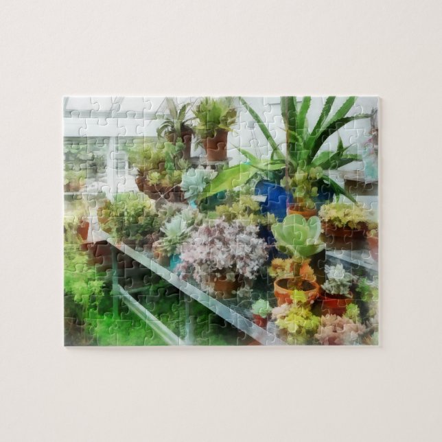 Greenhouse With Cactus Jigsaw Puzzle (Horizontal)
