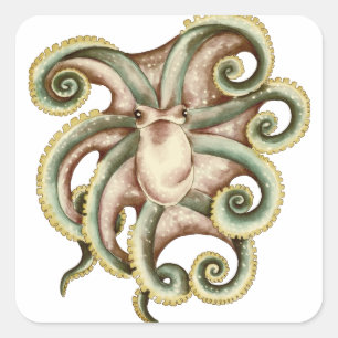 Greenish Octopus Square Sticker