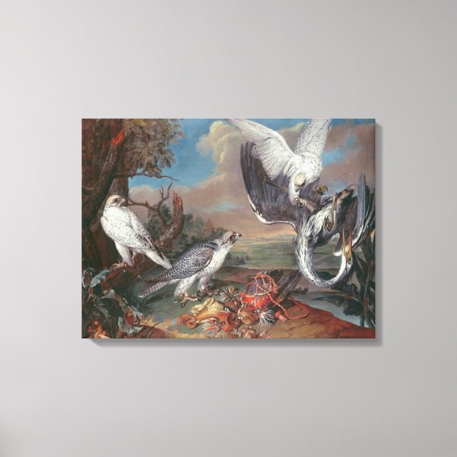 Greenland Cyr Falcons Canvas Print (Front)