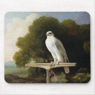 Greenland Falcon (Grey Falcon), 1780 (oil on panel Mouse Mat