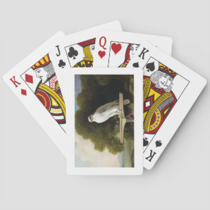 Greenland Falcon (Grey Falcon), 1780 (oil on panel Playing Cards