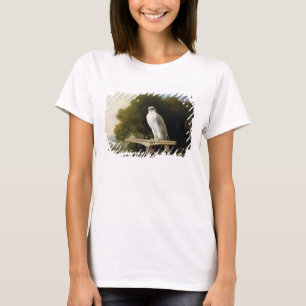 Greenland Falcon (Grey Falcon), 1780 (oil on panel T-Shirt