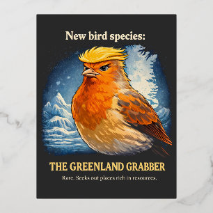 Greenland Grabber Satirical Political Bird Art Foil Holiday Postcard