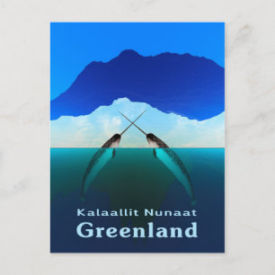 Greenland - Narwhal Postcard
