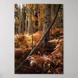 Greens Creek Hiking Path Poster