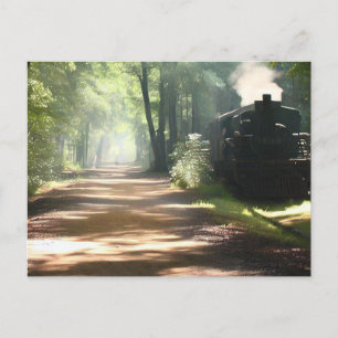 Greenville south carolina GHS Swamp Rabbit Trail   Postcard