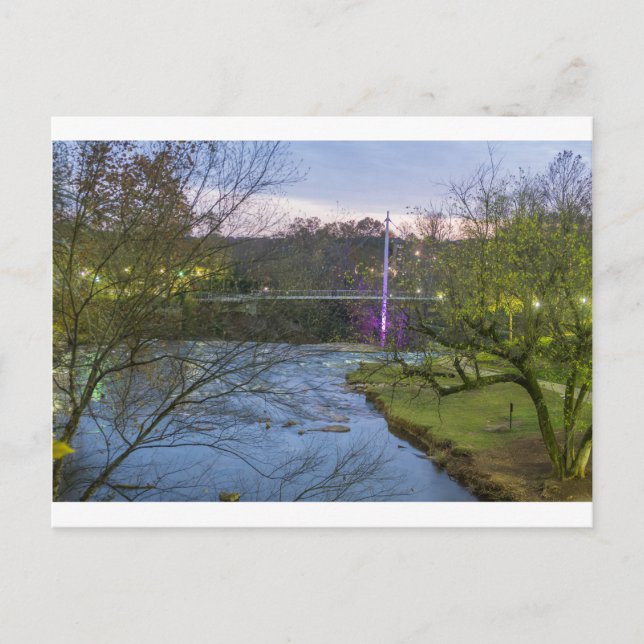 greenville south carolina liberty bridge postcard (Front)