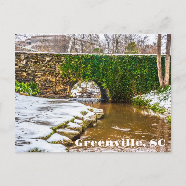 Greenville, South Carolina Snow on Reedy River  Postcard (Front)