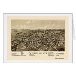 Greenville, TX Panoramic Map - 1886