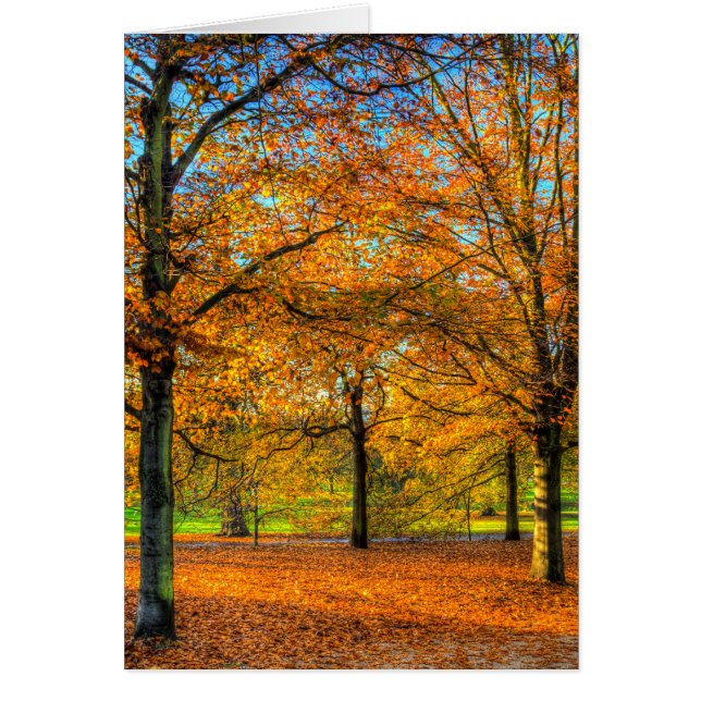 Greenwich Park London (Front)