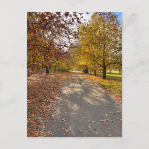 Greenwich park, London UK Postcard