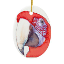 Greenwing Macaw Parrot