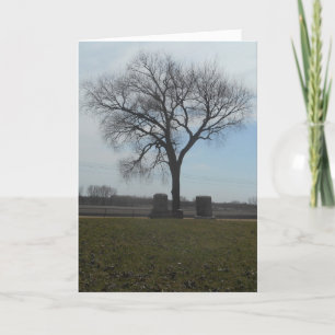 “Greenwood Cemetery Tree" Hallowe’en Card