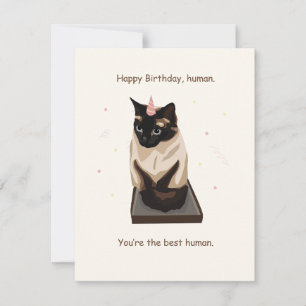 Greeting Birthday Card with Siamese Cat