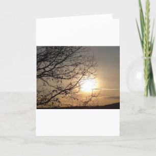 Greeting cadrd beautiful sunset with branchs card