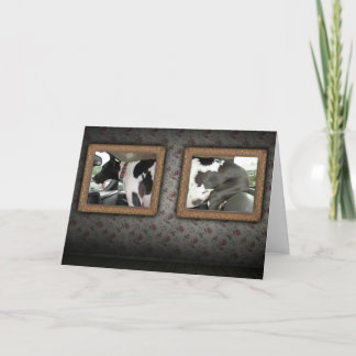 Greeting Card