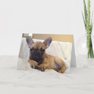 Greeting Card