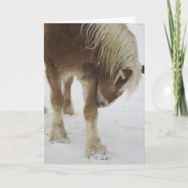 Greeting Card (Front)