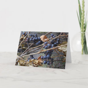 greeting card