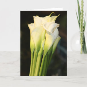 Greeting Card