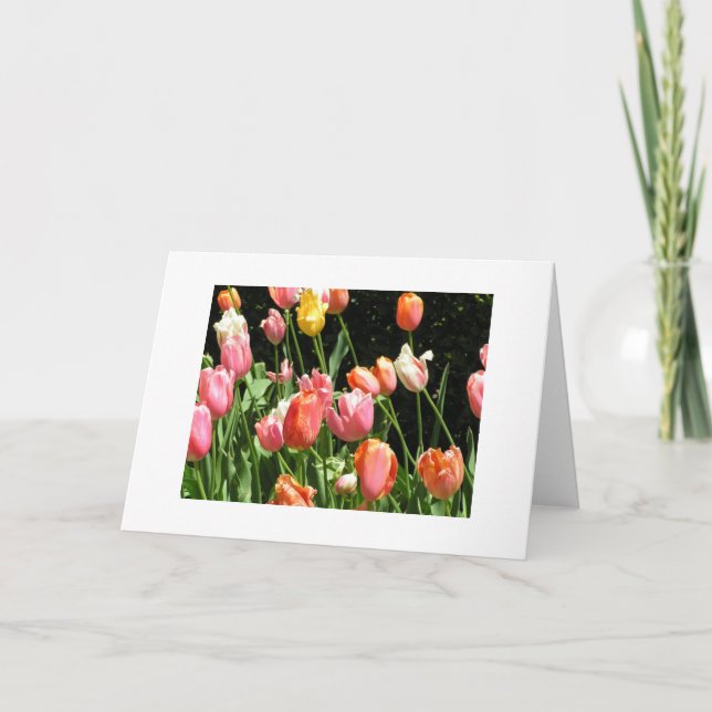 Greeting Card (Front)