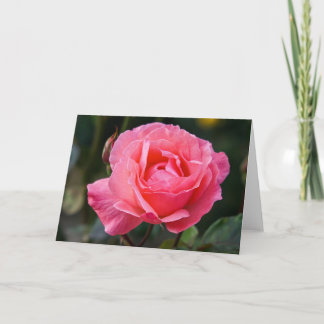 Greeting Card - A Rose for You from Puerto Montt