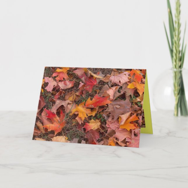 Greeting Card/Autumn Card (Front)