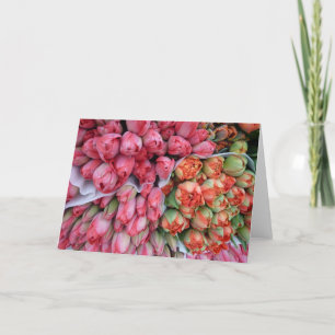 GREETING CARD Beautiful Tulips in France