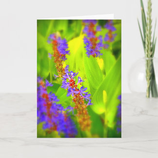 Greeting Card - Blank Inside