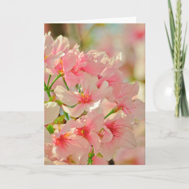 Greeting Card, blank inside Card (Front)