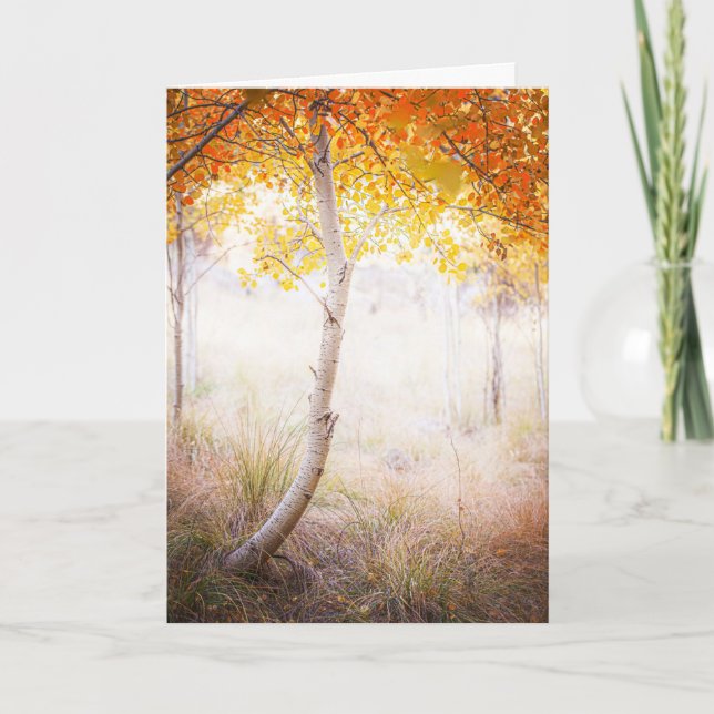 Greeting Card, Blank Inside Card (Front)