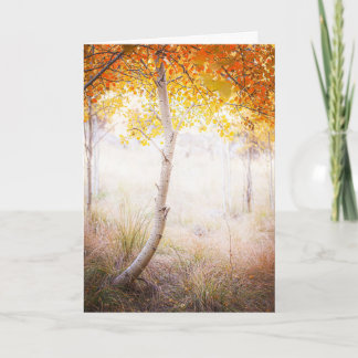 Greeting Card, Blank Inside Card