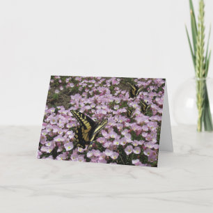 Greeting Card - Butterflies and Flowers