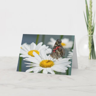 Greeting Card - Butterfly on a Shasta Daisy